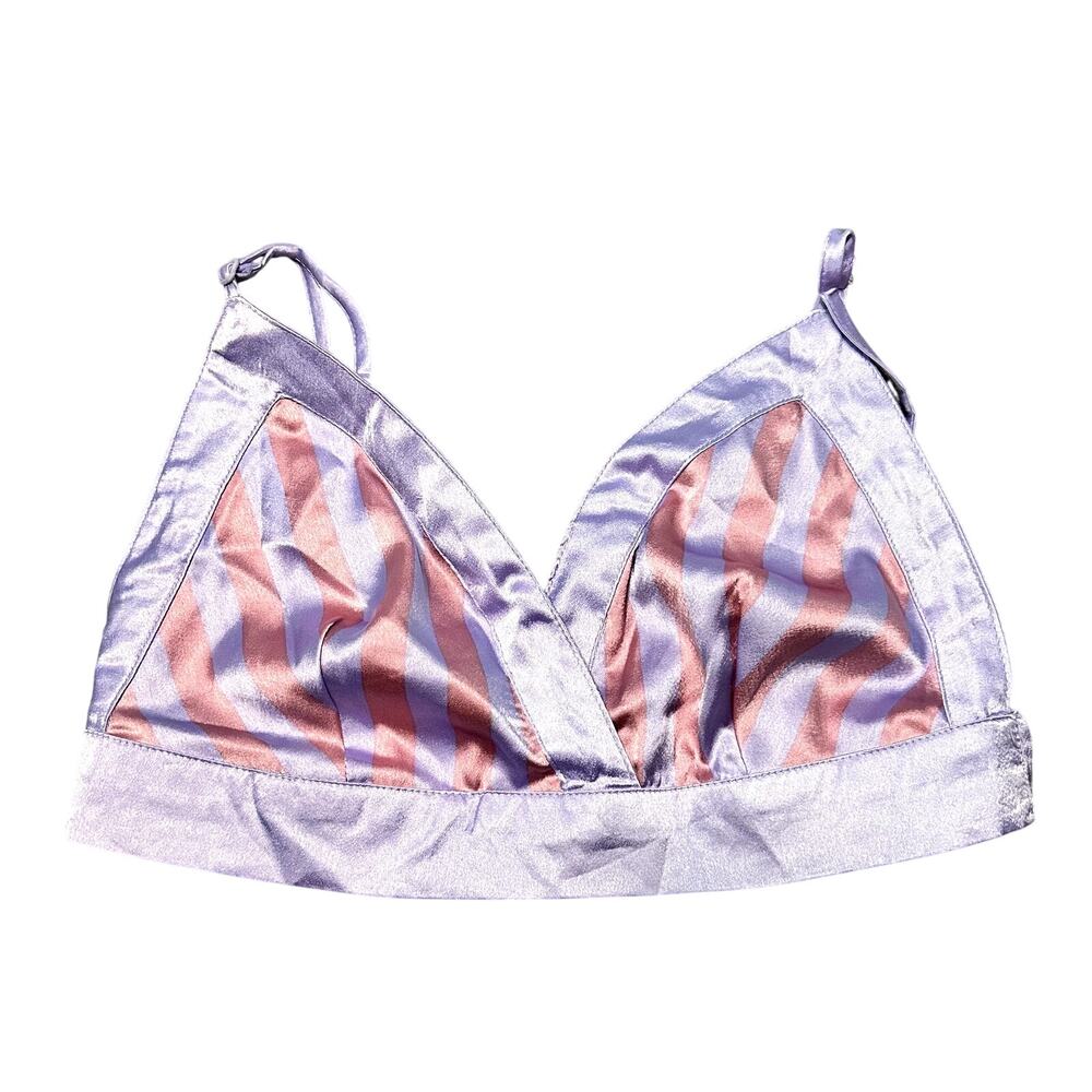 Nasty Gal Purple Pink Stripped Silky Bra Top Sexy Size 8 NEW WITH TAGS
